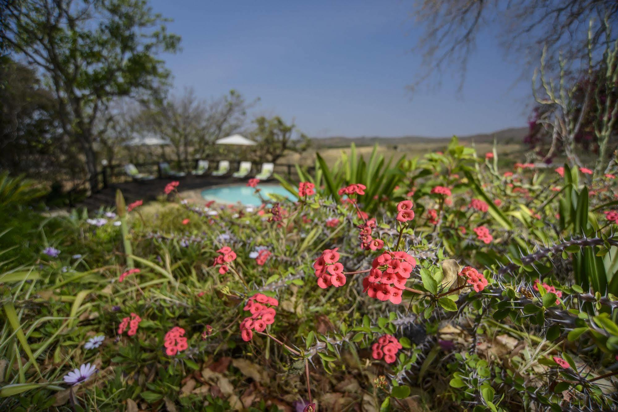 Abangane Guest Gasthuis